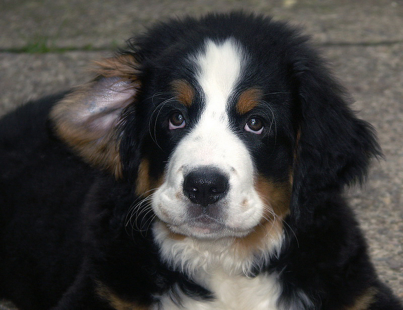 Anton PICT0492 (15)_BildgrÃ¶ÃŸe Ã¤ndern.jpg